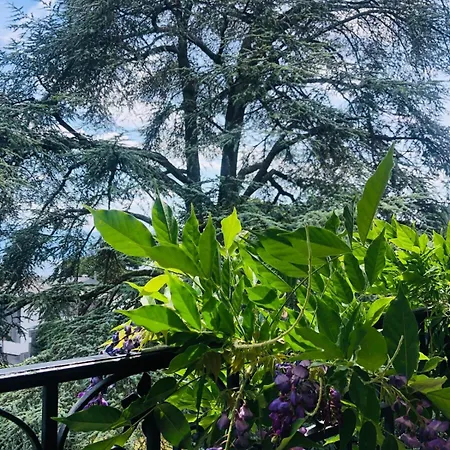 Appartement Au Dans De Charme Saint Sulpice (Vaud)